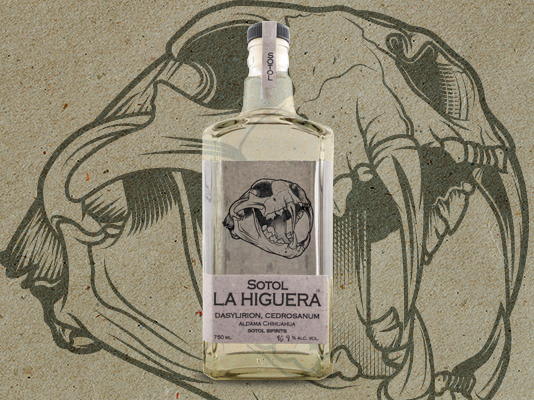 La higuera